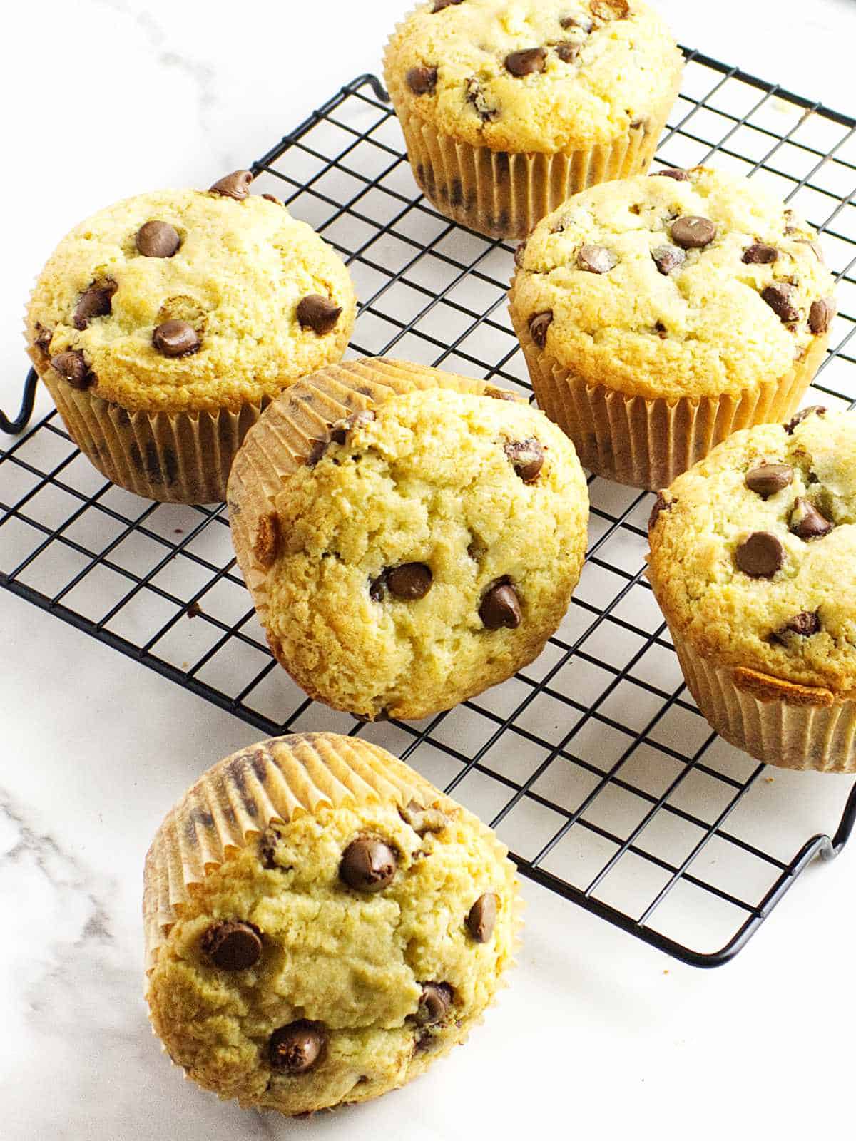 bakery style chocolate chip muffins on a cooling rack.