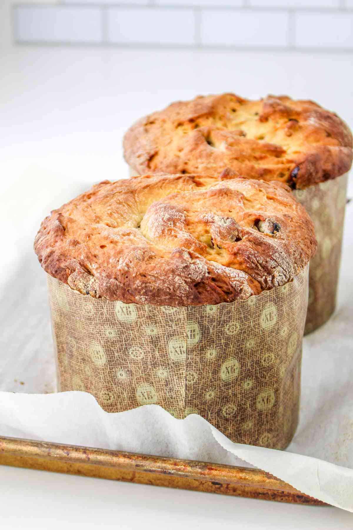 Christmas Panettone bread on a baking sheet.