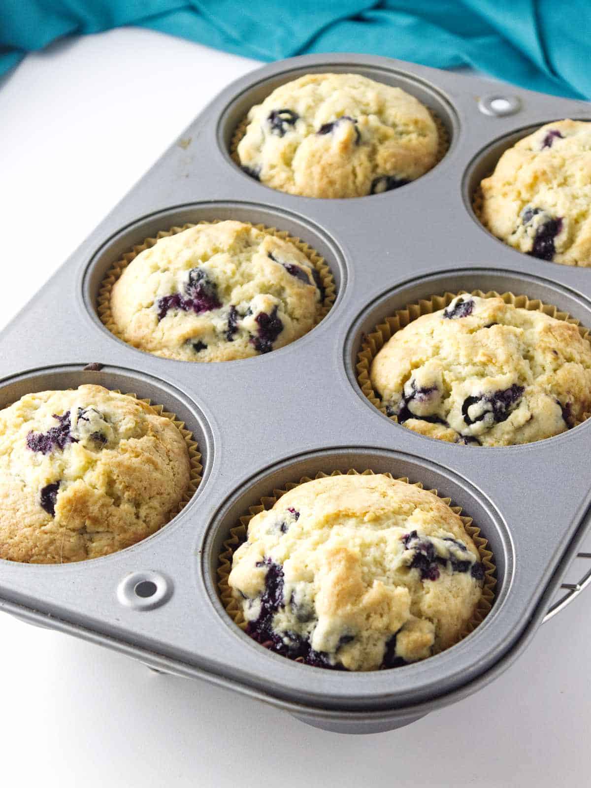 Jumbo blueberry muffins cooling in a muffin tin.
