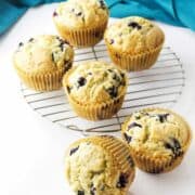 Jumbo blueberry muffins cooling on a rack.