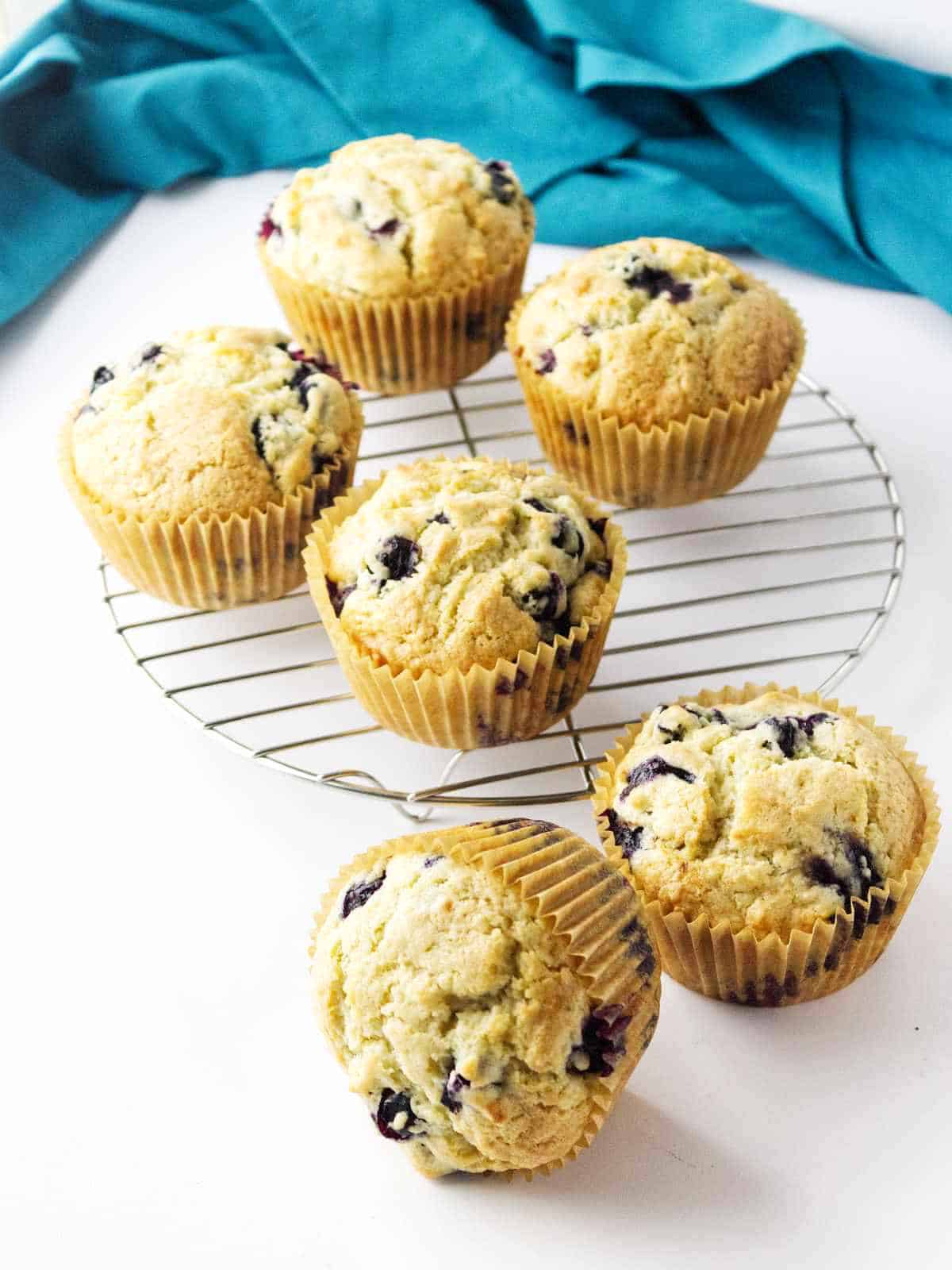 Jumbo blueberry muffins cooling on a rack.