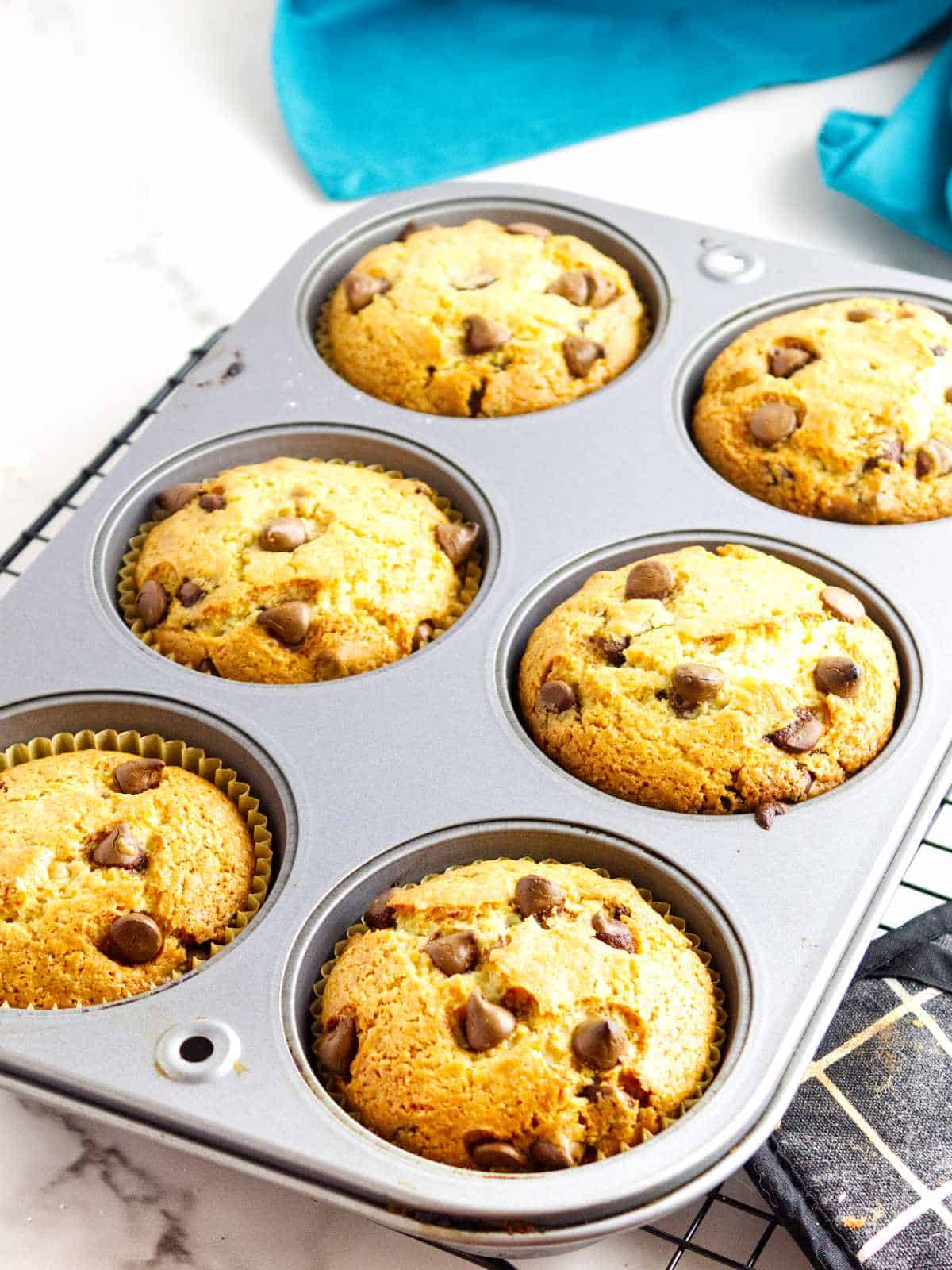 Bakery style chocolate chip muffins fresh out of the oven.