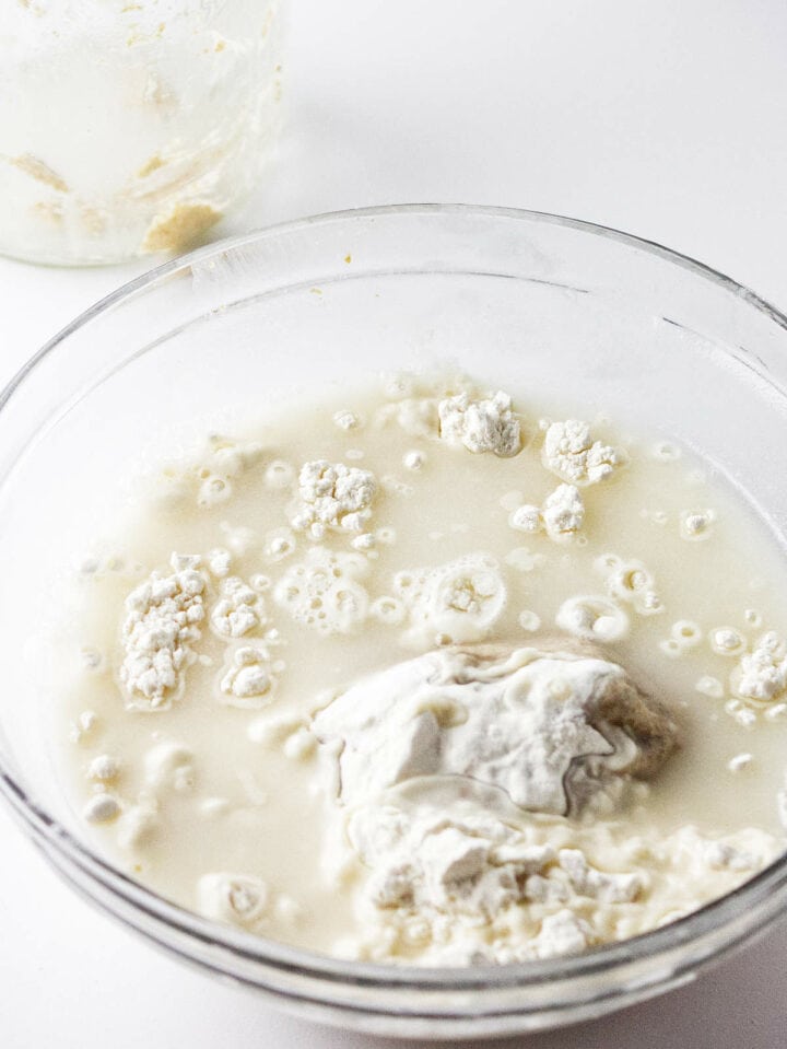 CAN YOU START A SOURDOUGH STARTER WITH BREAD FLOUR visual data 4