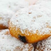 jelly filled paczki, fat tuesday donuts.