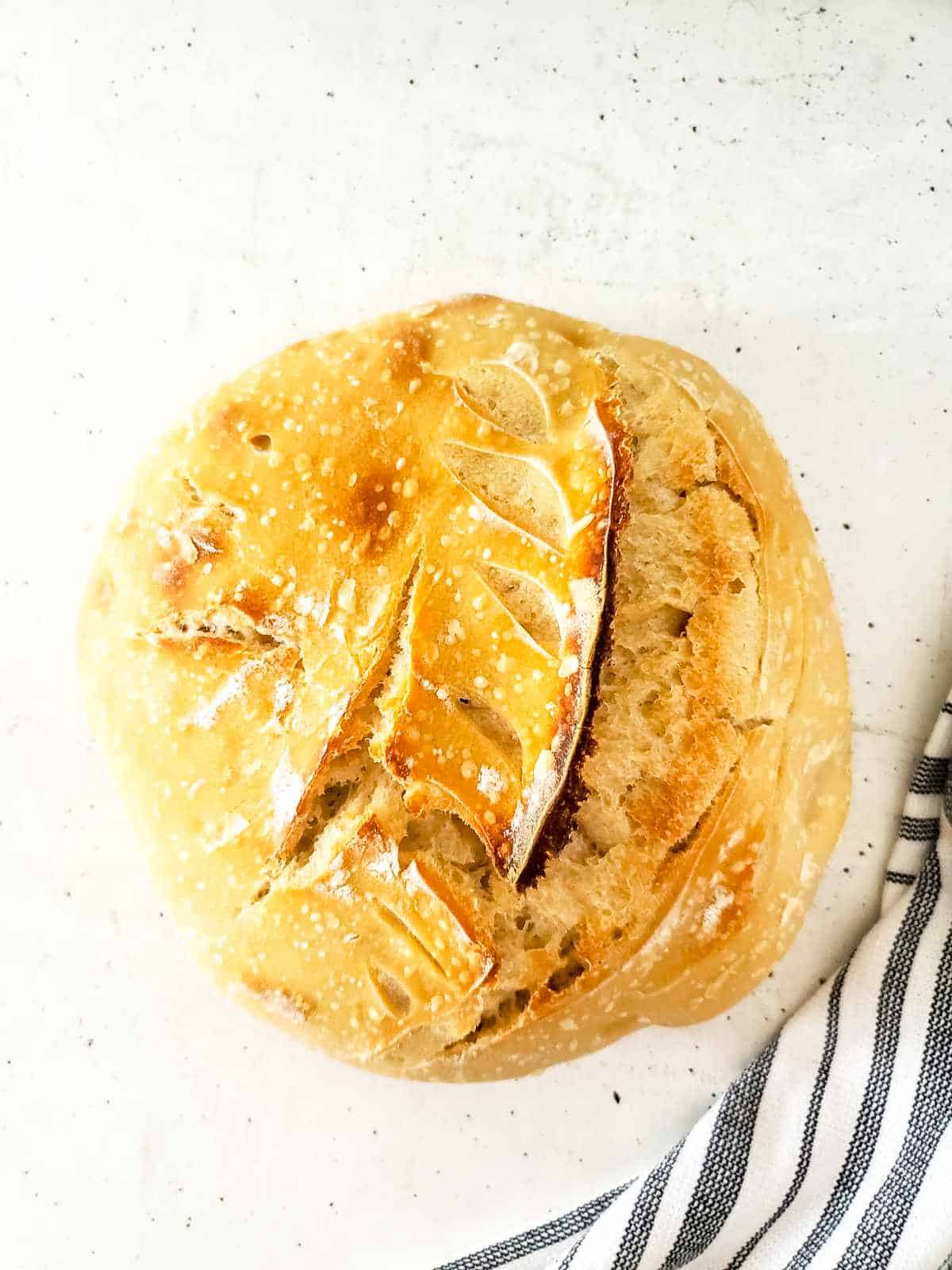 freshly baked sourdough discard bread.