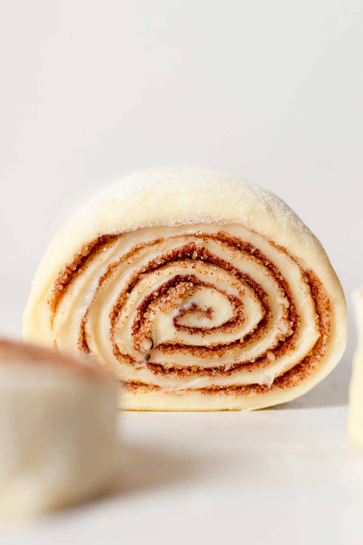 cross view of sliced cinnamon roll dough before final proofing.