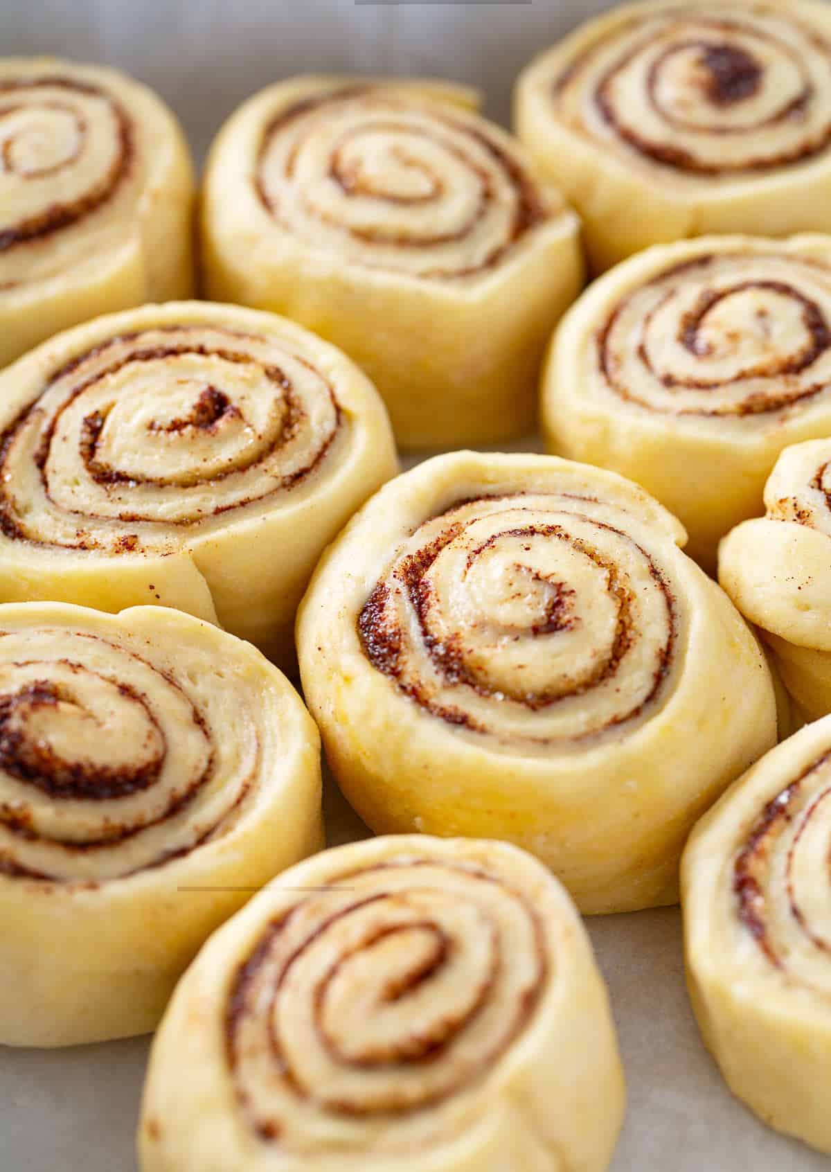 cinnamon rolls in a baking dish proofing before baking.