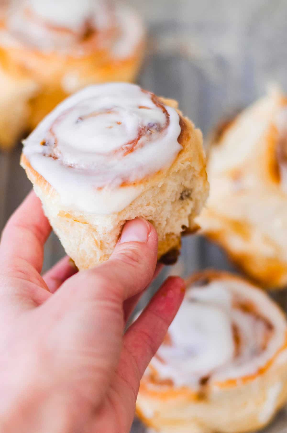 iced sourdough discard cinnamon rolls.