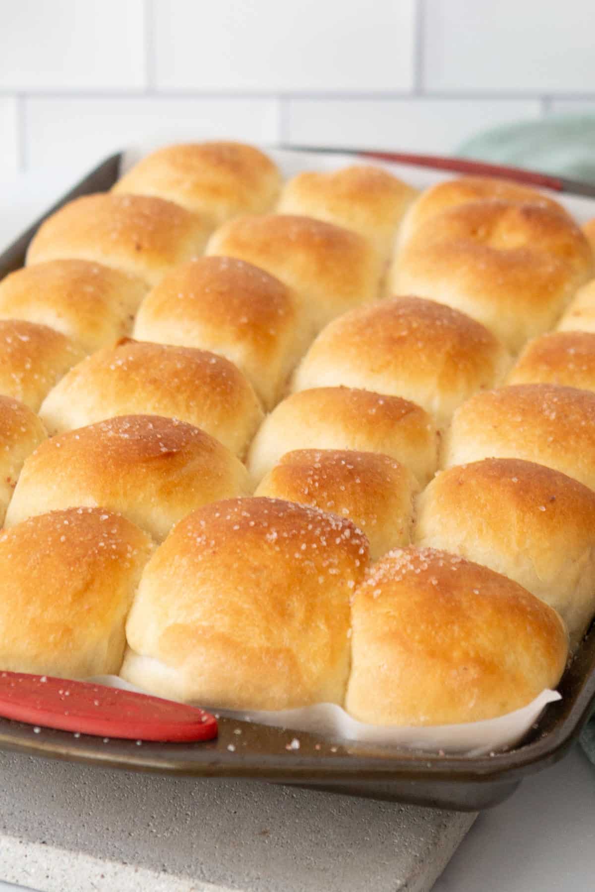 A baking tray filled with golden-brown potato flake sourdough rolls. The rolls are soft, fluffy, and slightly shiny on top with a sprinkle of salt. The tray has red handles and sits on a light-colored surface.