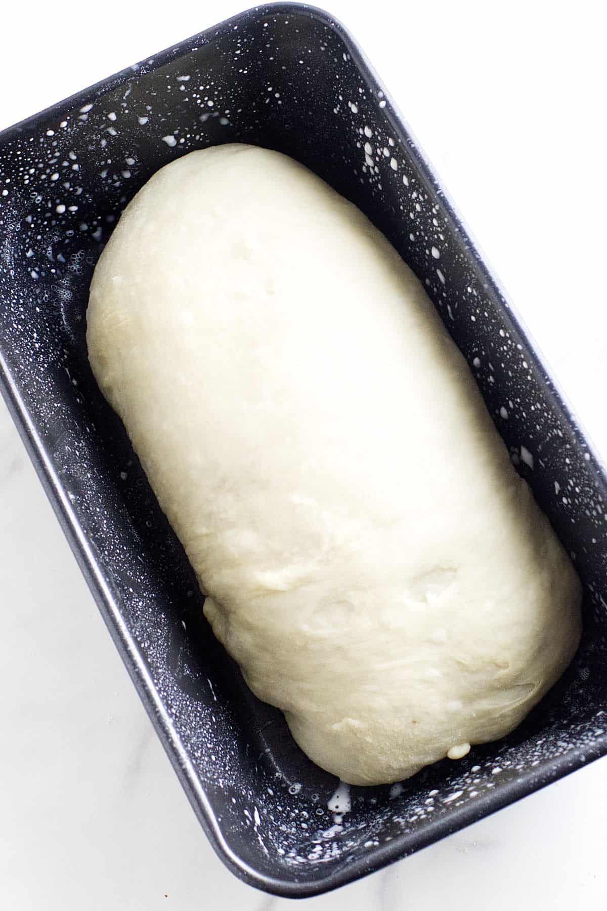 A loaf-shaped ball of potato flake sourdough bread dough sits in a speckled black loaf pan on a white surface, ready to be baked.