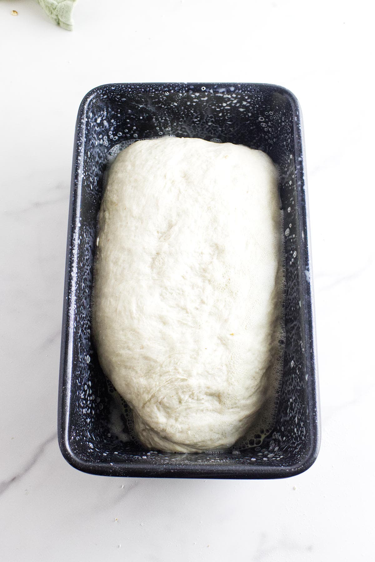 A rectangular black loaf pan holds white sourdough discard sandwich bread dough that has risen, filling most of the pan, on a white marble surface.