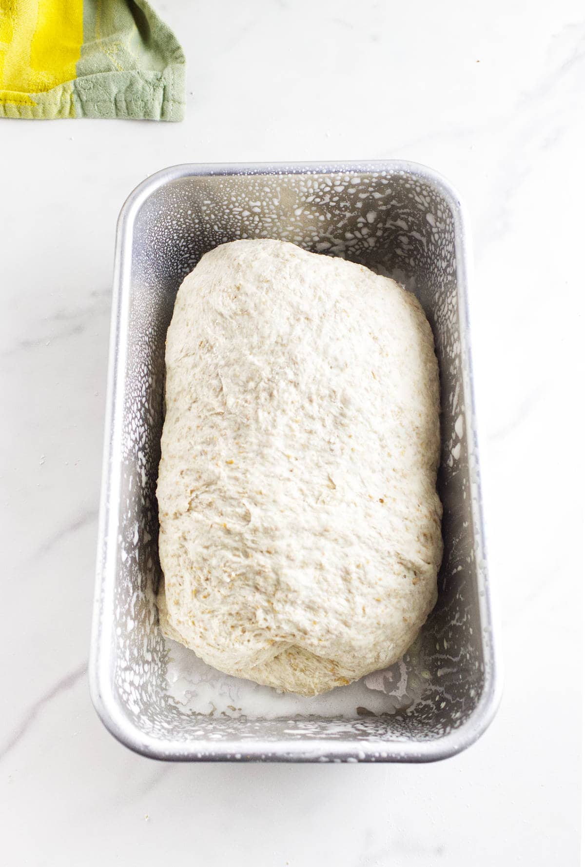 A loaf pan filled with whole wheat sourdough discard sandwich bread dough sits on a white marble surface. A green and yellow cloth is partially visible in the top left corner.