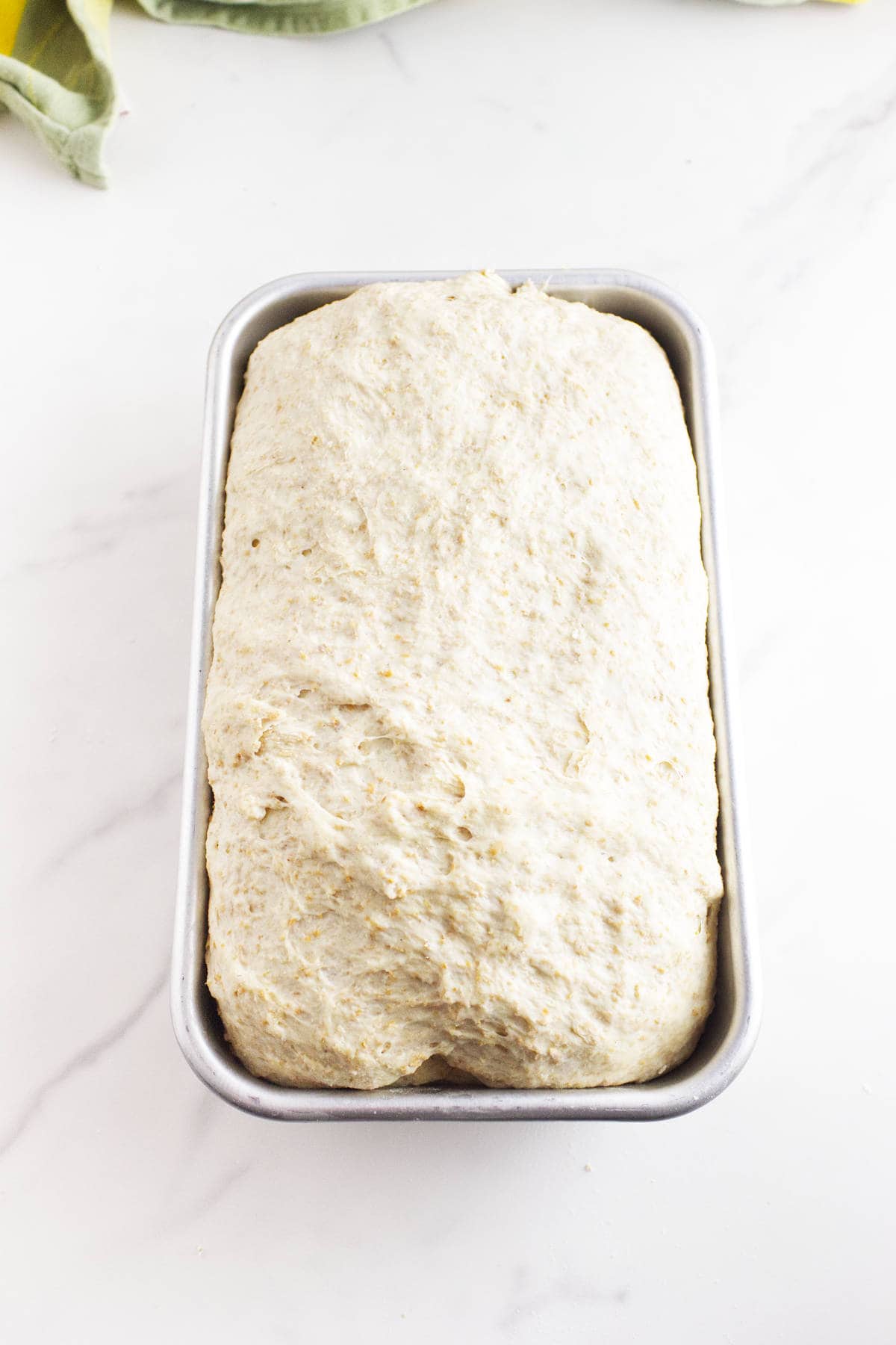 A loaf pan filled with risen whole wheat sourdough discard sandwich bread dough sits on a white marble surface, ready to be baked.